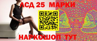 стаф Тверь