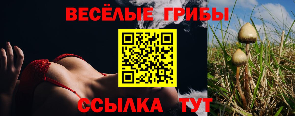 Нижний Тагил  Псилоцибиновые грибы Psilocybine cubensis  Вход с VPN 